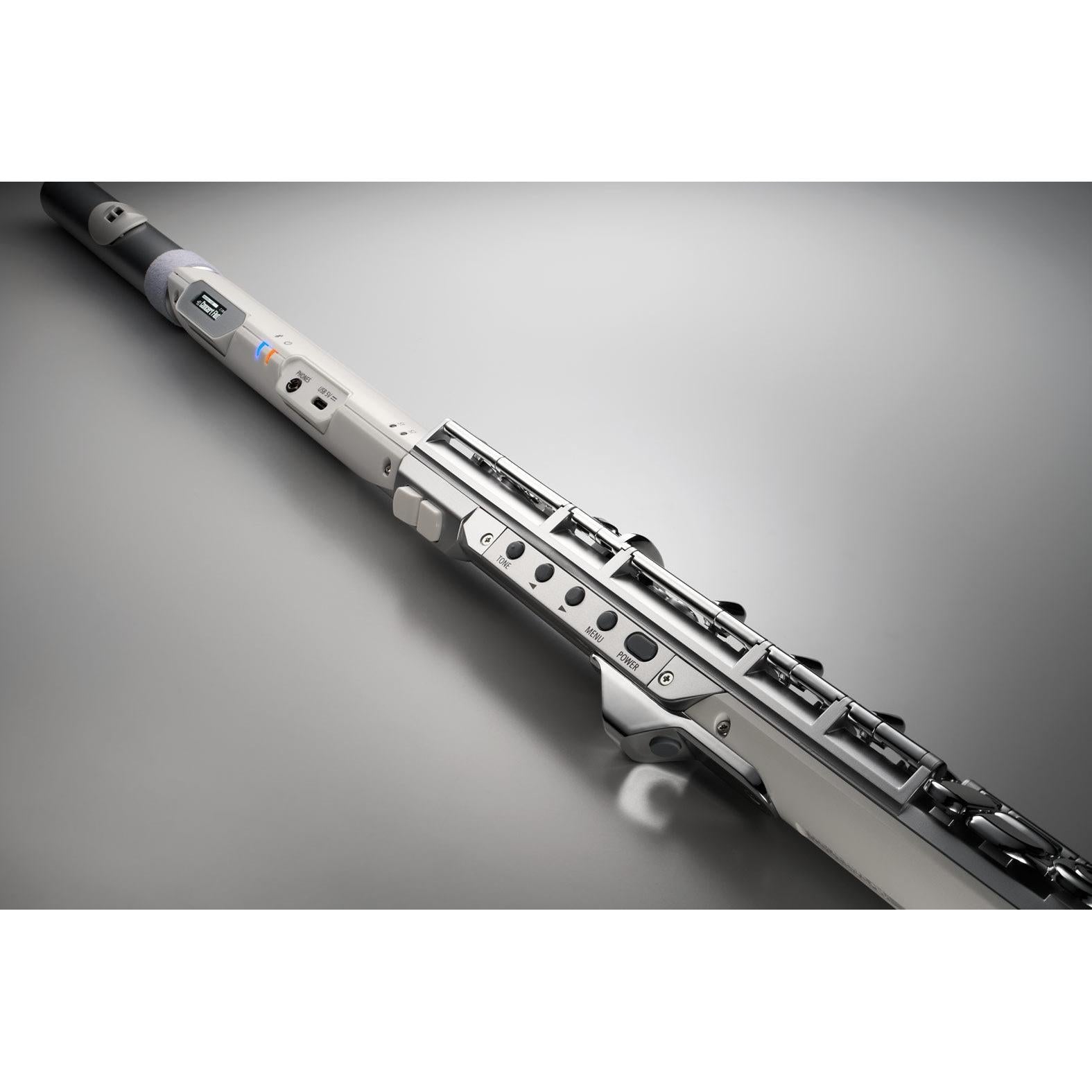 Kèn Điện Tử Roland Aerophone Brisa-Mai Nguyên Music