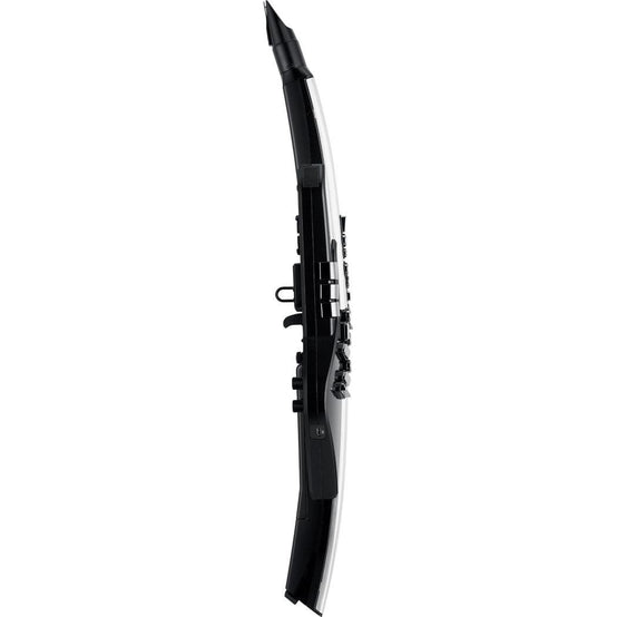 Kèn Điện Tử Roland Aerophone Pro AE-30-Mai Nguyên Music