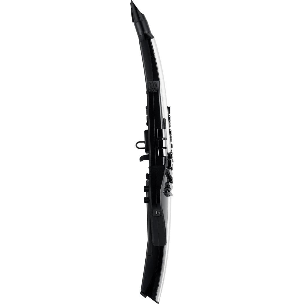 Kèn Điện Tử Roland Aerophone Pro AE-30-Mai Nguyên Music