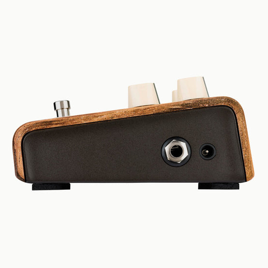 LR Baggs Align Series Session Acoustic Pedal-Mai Nguyên Music