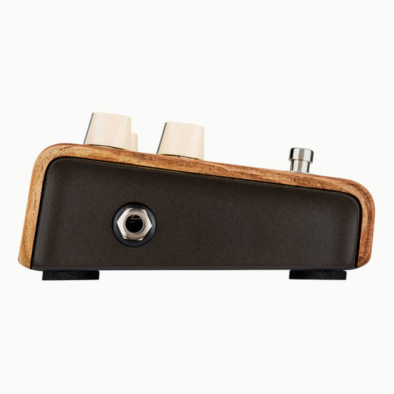 LR Baggs Align Series Session Acoustic Pedal-Mai Nguyên Music