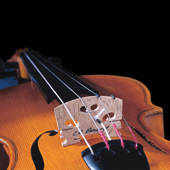 LR Baggs Violin Pickup-Mai Nguyên Music