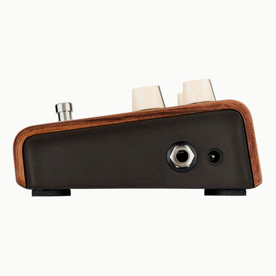 Pedal Guitar Acoustic LR Baggs Align Series Reverb-Mai Nguyên Music