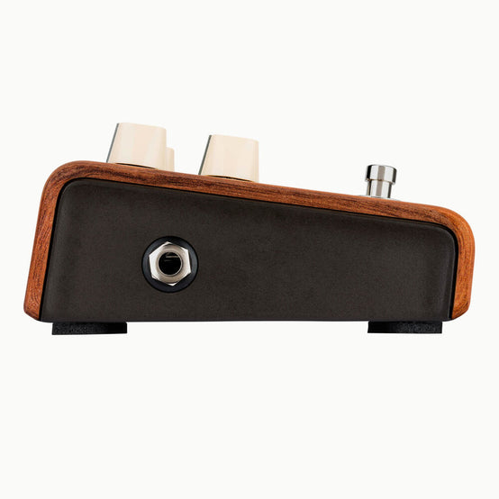Pedal Guitar Acoustic LR Baggs Align Series Reverb-Mai Nguyên Music