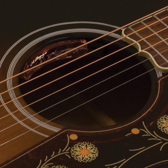Pickup Đàn Guitar Acoustic LR Baggs Session VTC-Mai Nguyên Music