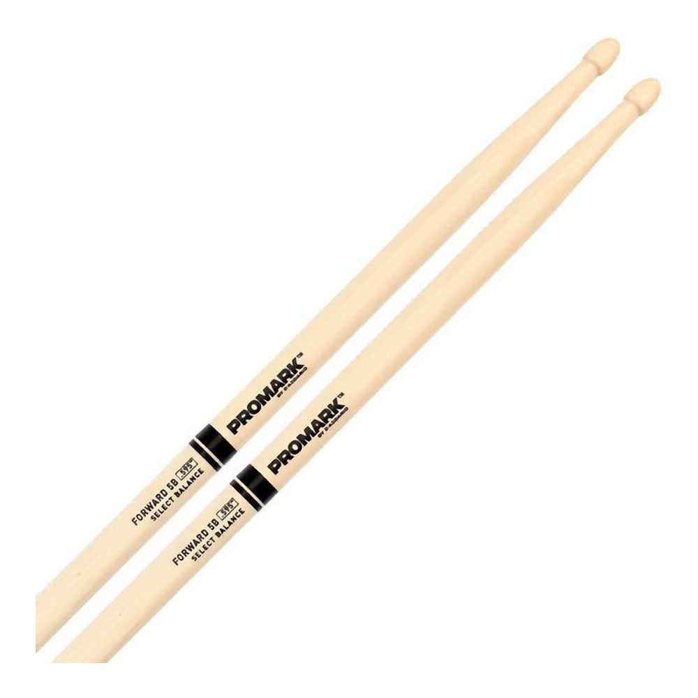 Promark FBH595AW Forward 5B .595 Hickory Acorn Wood Tip Drumstick-Mai Nguyên Music