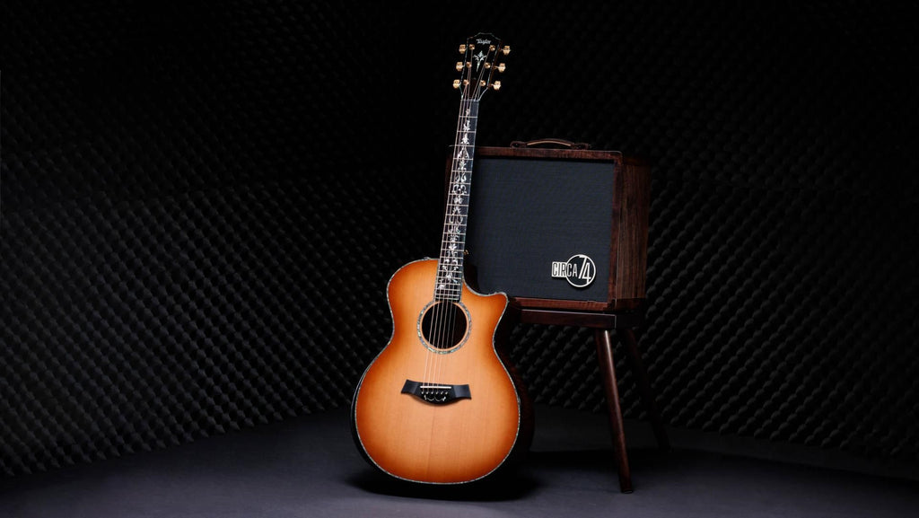 Đàn Guitar Acoustic Taylor 50th Anniversary PS14ce LTD & Circa 74 Amp