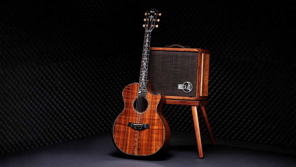 Đàn Guitar Acoustic Taylor 50th Anniversary PS24ce LTD & Circa 74 Amp