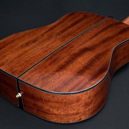 Đàn Guitar Acoustic Cort Gold-DC6