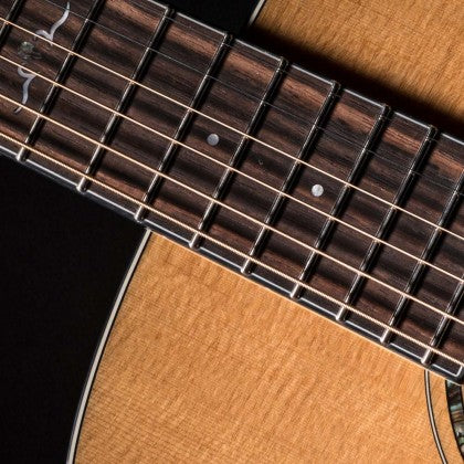 Đàn Guitar Acoustic Cort Gold-DC6