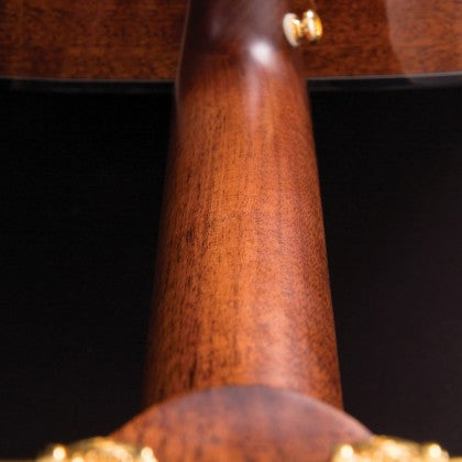 Đàn Guitar Acoustic Cort Gold-DC6