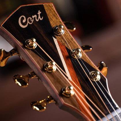 Đàn Guitar Acoustic Abstract Delta