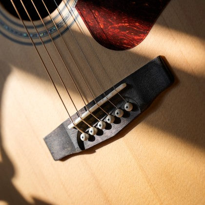 Đàn Guitar Acoustic Cort L710F