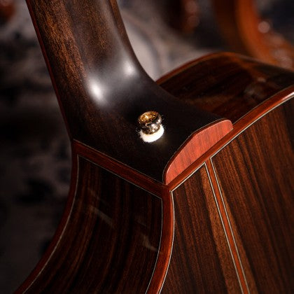 Đàn Guitar Acoustic Roselyn Redux