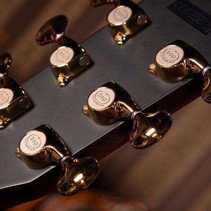Đàn Guitar Acoustic Roselyn Redux