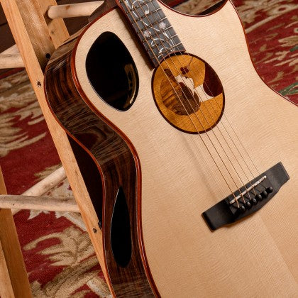 Đàn Guitar Acoustic Roselyn Redux