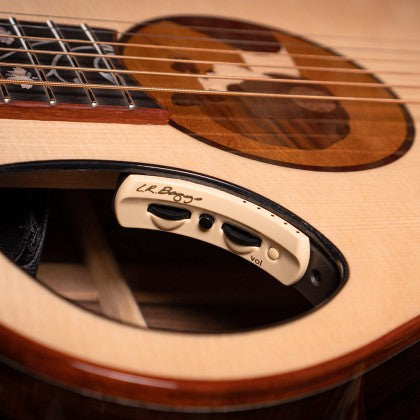 Đàn Guitar Acoustic Roselyn Redux