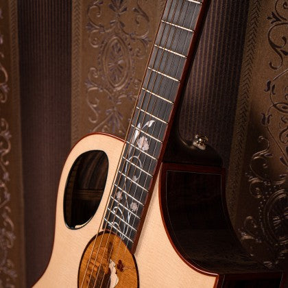 Đàn Guitar Acoustic Roselyn Redux