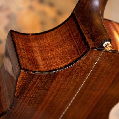 Đàn Guitar Acoustic Cort LUXE II