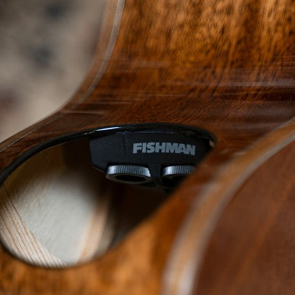 Đàn Guitar Acoustic Cort Modern Black