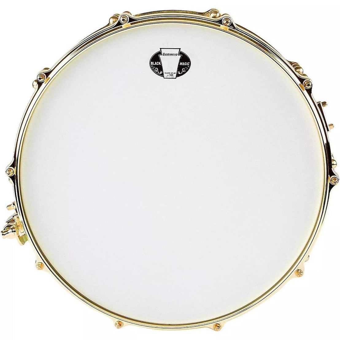 Trống Snare Ludwig LW0414CP 14"x3.7" Carl Palmer Venus-Mai Nguyên Music