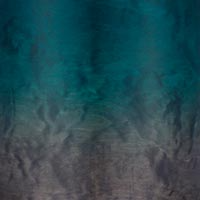 Trống Snare Tama WBSS55 14"x5.5" Starclassic Maple Walnut/Birch-Mai Nguyên Music