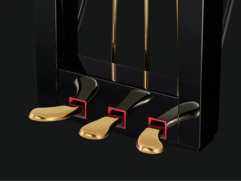 Bàn đạp – Pedal